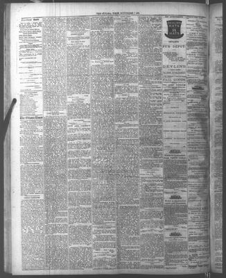 Ottawa Times (1865), 7 Nov 1874