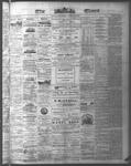 Ottawa Times (1865), 18 Nov 1874