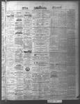 Ottawa Times (1865), 19 Nov 1874