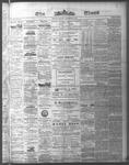 Ottawa Times (1865), 20 Nov 1874