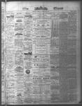 Ottawa Times (1865), 24 Nov 1874