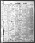 Ottawa Times (1865), 4 Jan 1875