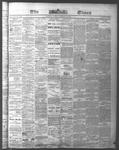 Ottawa Times (1865), 18 Jan 1875