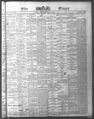 Ottawa Times (1865), 19 Jan 1875