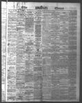 Ottawa Times (1865), 31 Mar 1875