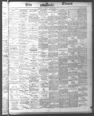 Ottawa Times (1865), 30 Apr 1875