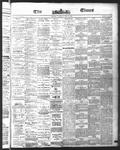Ottawa Times (1865), 4 May 1875