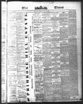 Ottawa Times (1865), 11 May 1875