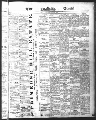 Ottawa Times (1865), 15 May 1875