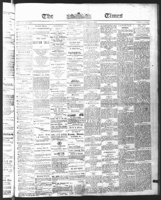 Ottawa Times (1865), 1 Jun 1875