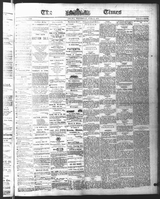 Ottawa Times (1865), 2 Jun 1875