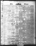 Ottawa Times (1865), 15 Jun 1875