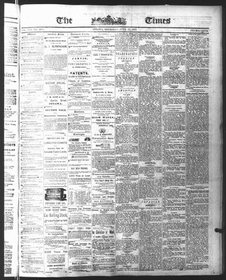 Ottawa Times (1865), 17 Jun 1875