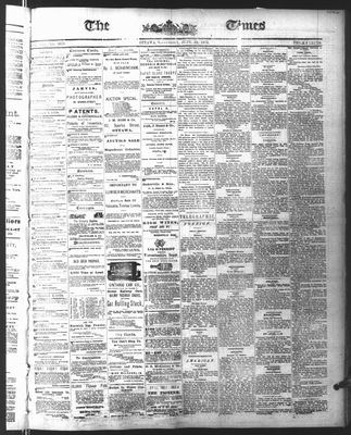 Ottawa Times (1865), 19 Jun 1875