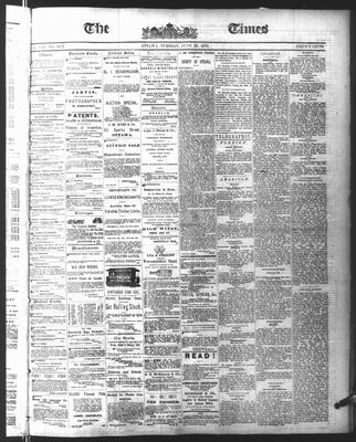 Ottawa Times (1865), 22 Jun 1875