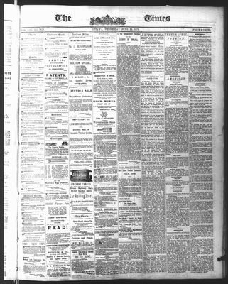 Ottawa Times (1865), 23 Jun 1875