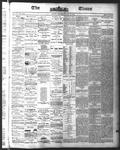 Ottawa Times (1865), 8 Jul 1875