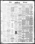 Ottawa Times (1865), 4 Aug 1875