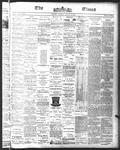 Ottawa Times (1865), 9 Aug 1875