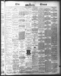 Ottawa Times (1865), 12 Aug 1875