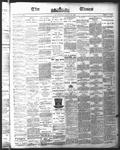 Ottawa Times (1865), 14 Aug 1875