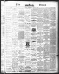 Ottawa Times (1865), 18 Aug 1875