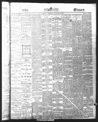 Ottawa Times (1865), 13 Jan 1876