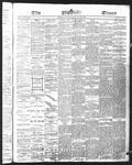 Ottawa Times (1865), 18 Jan 1876