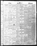 Ottawa Times (1865), 20 Jan 1876