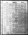 Ottawa Times (1865), 25 Jan 1876