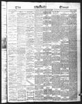 Ottawa Times (1865), 31 Jan 1876