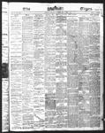 Ottawa Times (1865), 3 Feb 1876