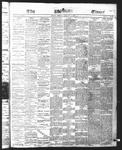 Ottawa Times (1865), 4 Feb 1876