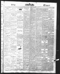 Ottawa Times (1865), 22 Feb 1876