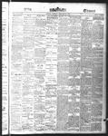 Ottawa Times (1865), 29 Feb 1876