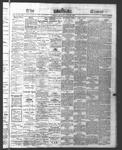 Ottawa Times (1865), 22 May 1876