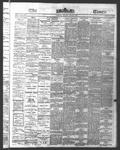 Ottawa Times (1865), 29 May 1876