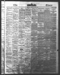 Ottawa Times (1865), 30 May 1876