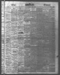 Ottawa Times (1865), 9 Jun 1876