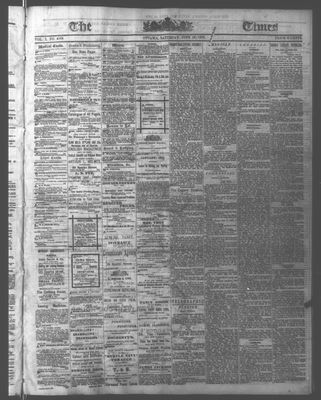 Ottawa Times (1865), 10 Jun 1876