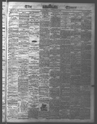 Ottawa Times (1865), 10 Aug 1876