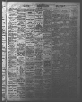 Ottawa Times (1865), 26 Aug 1876