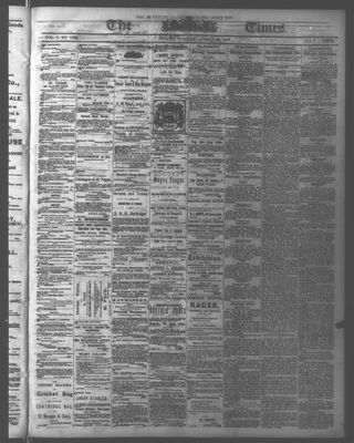 Ottawa Times (1865), 29 Aug 1876