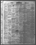 Ottawa Times (1865), 30 Aug 1876