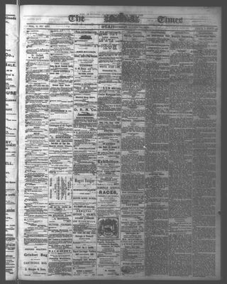 Ottawa Times (1865), 31 Aug 1876