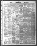 Ottawa Times (1865), 8 Sep 1876