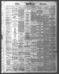 Ottawa Times (1865), 28 Oct 1876