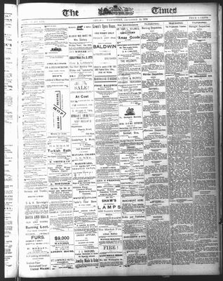 Ottawa Times (1865), 20 Dec 1876