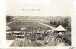 Photograph of Richmond Hill Spring Fair
