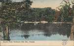 Boyles Pond in Richmond Hill